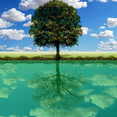 REFLECTED TREE - a Digital Art Artowrk by Davide Gianquitto